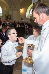 IMG_7313.jpg